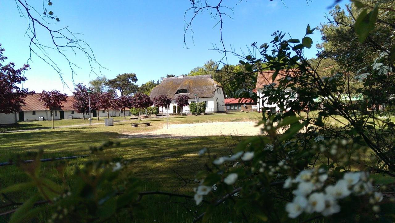 Jugendtours-Feriendorf Ummanz Esterno foto
