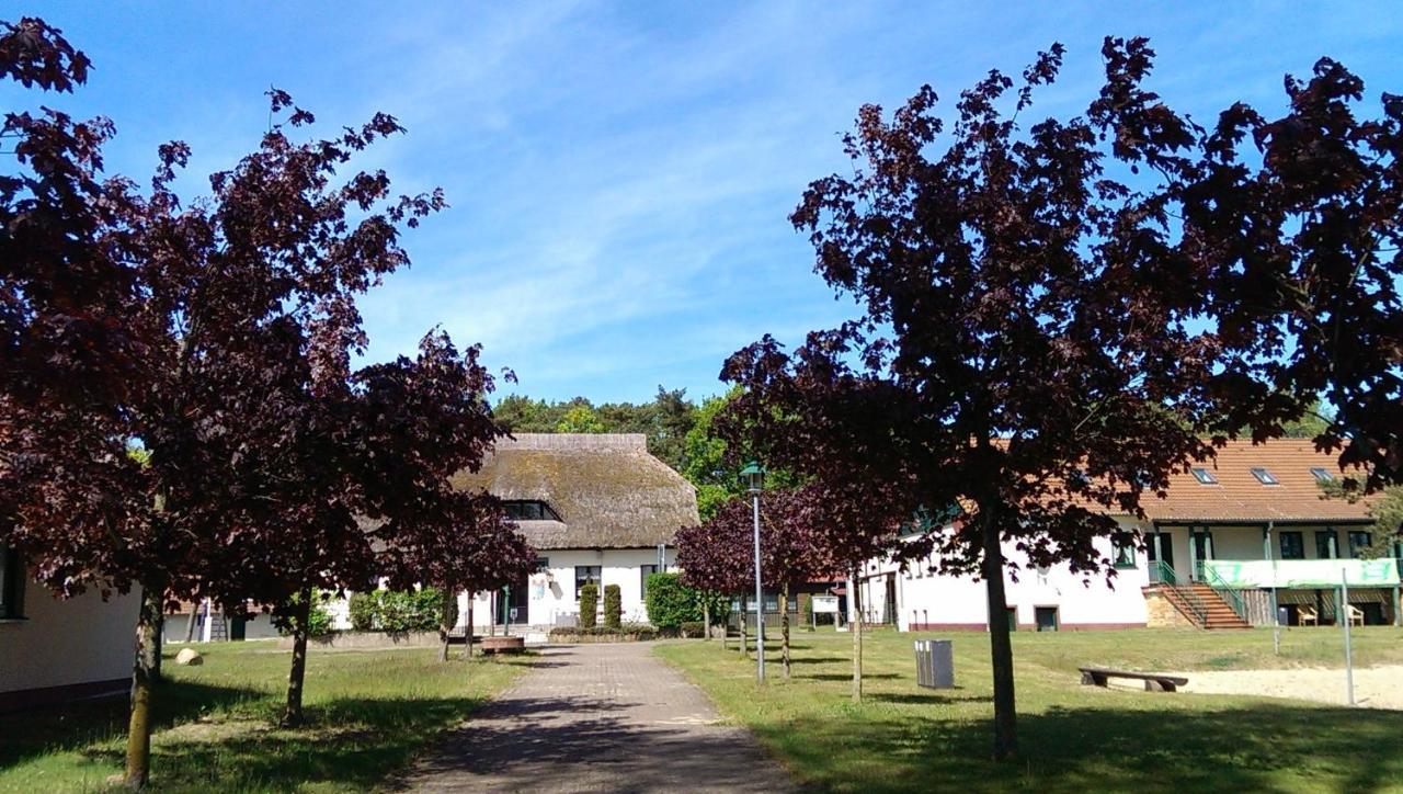 Jugendtours-Feriendorf Ummanz Esterno foto