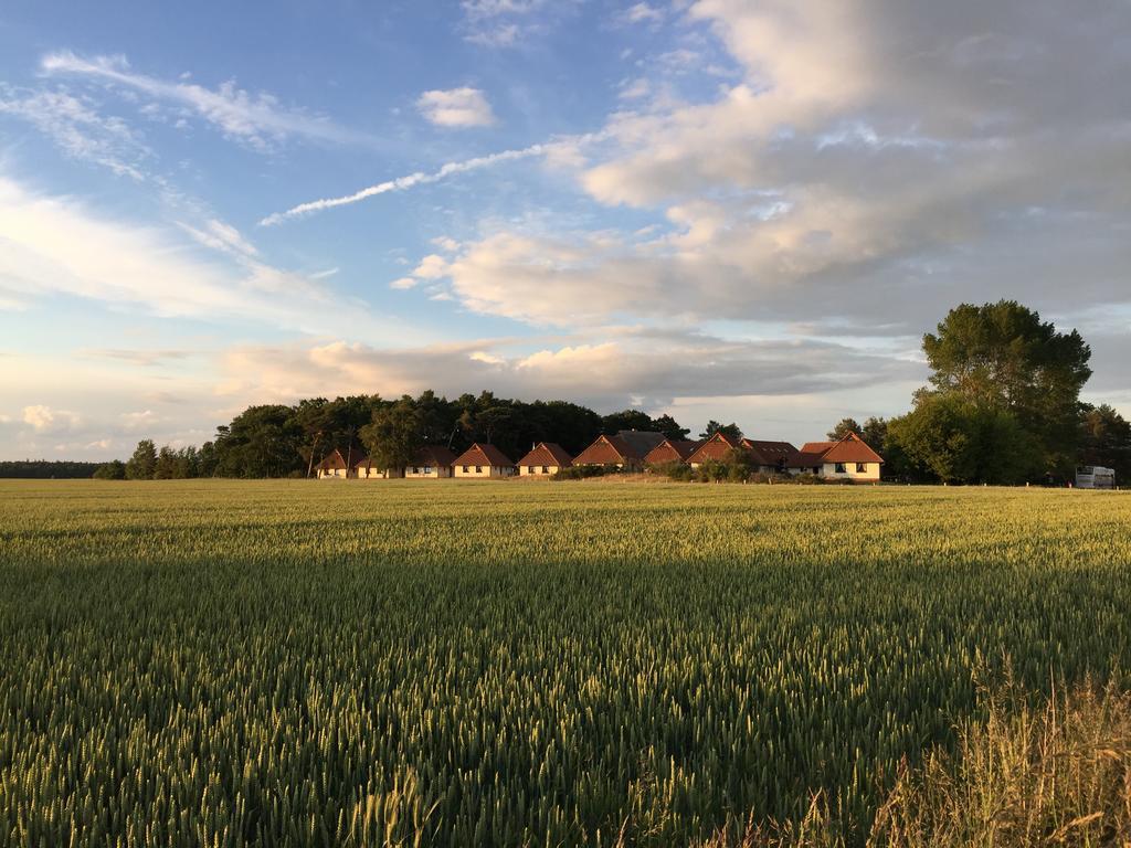 Jugendtours-Feriendorf Ummanz Esterno foto